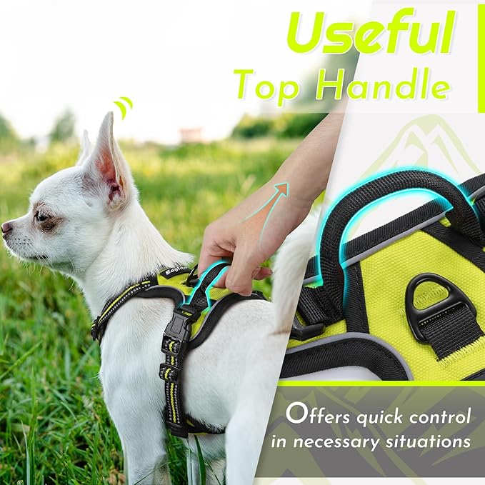 Eagloo Small Dog Harness No Pull, Service Vest with Reflective Strips and Control Handle, Adjustable and Comfortable for Walking, No Choke Pet Harness with 2 Metal Rings, Green, XS-PawvioPets