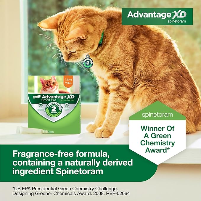 Advantage XD Small Cat Flea Prevention & Treatment For Cats 1.8-9lbs. | 4-Topical Doses, 2-Months of Protection Per Dose-PawvioPets
