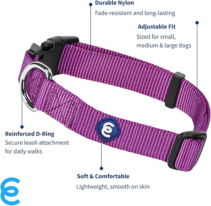 Blueberry Pet Essentials Matching Large Dog Collar | Adjustable Classic Solid Color Nylon Dog Collars for Large Dogs | Violet Dog Collar for Large Dogs-PawvioPets