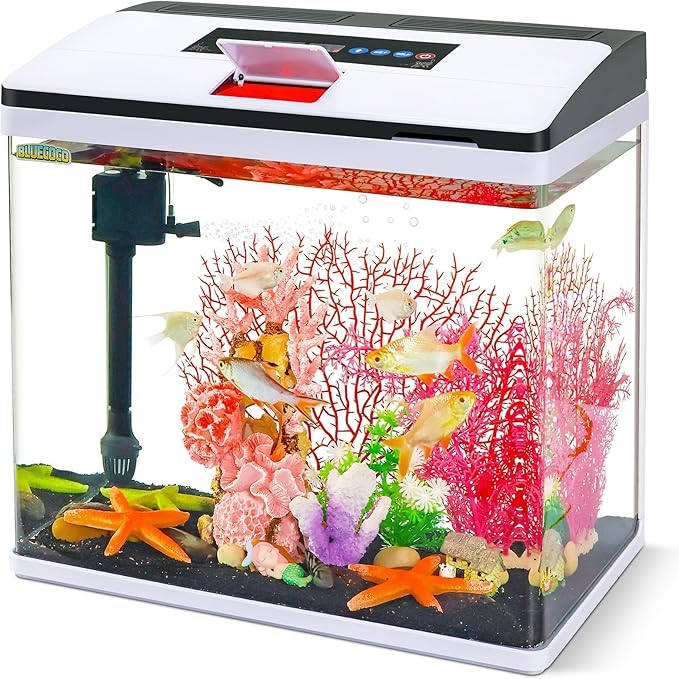 Glass Aquarium Fish Tank Starter Kit with Temperature and Time Display for Betta Fish Featuring Crystal Clear 360° Viewing, Eco-Cycle Filtration, Air Pump 12 Gallon-PawvioPets
