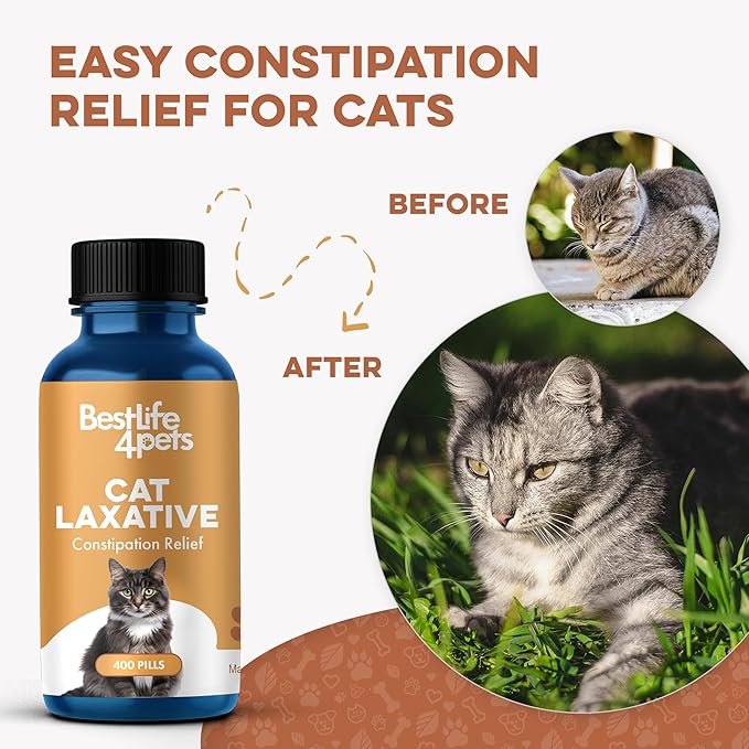 Cat Laxative Constipation Relief, Natural Cat Stool Softener Remedy for Irregular Bowel Movements Without Feline Diarrhea, Supports Feline Digestion & Gas Pain Relief, 400 Odorless, Tasteless Pills-PawvioPets