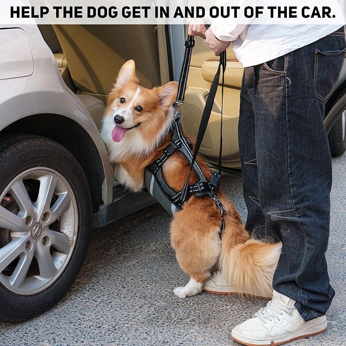 COODEO Mobility Dog Lift Harness, Emergency Carry Sling, Pet Rear Leg Support Rehabilitation Lifts Vest, Dog Carrier for Senior Dogs Joint Injuries, Arthritis (Military Green, XL)-PawvioPets