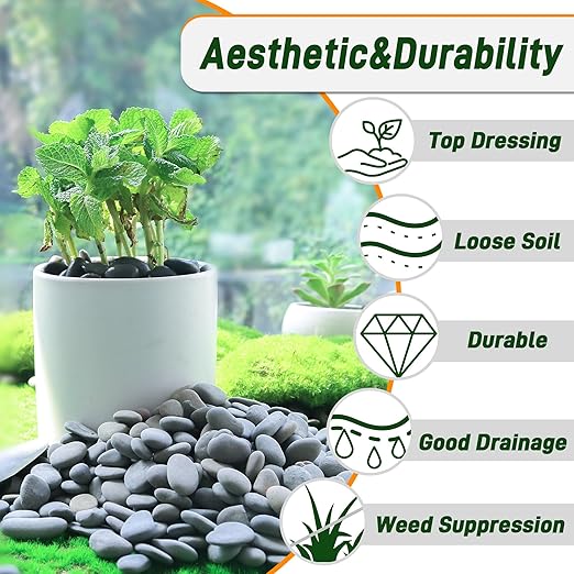 45 LB Mexican Beach Pebbles, 0.4-1 Inch Natural Unpolished Bulk Rocks, Decorative River Rocks for Landscaping Garden Paving Plant, Rocks for Walkways and Outdoor Decorative Stone, Grey-PawvioPets