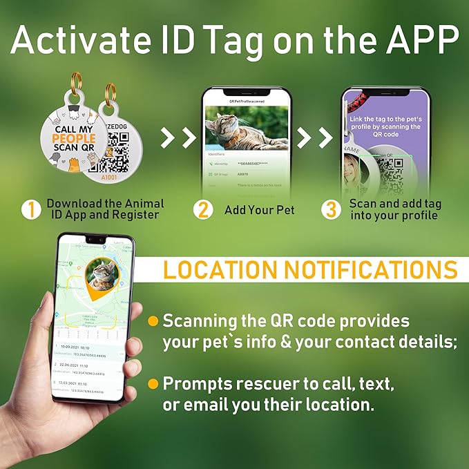 BRONZEDOG Leather Cat Collar with Removable Bells Non Breakaway Kitten QR Tag for Girl Boy (9" - 12" Cats/Mini Dogs, Black & Silver)-PawvioPets