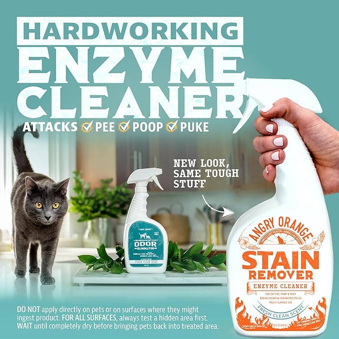 ANGRY ORANGE Cat Urine Odor Eliminator & Stain Remover, Pet-Friendly Deodorizer-PawvioPets