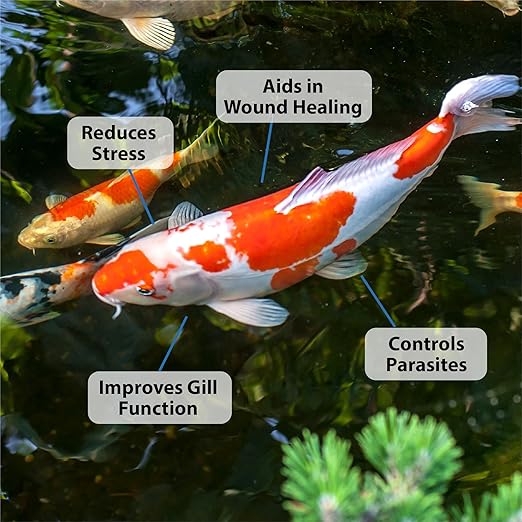 CrystalClear ParaSalt Outdoor Pond & Water Garden Rock Salt Crystals, Fish Parasite Control, Beneficial Stress Reducing & Slime-Coat Treatment, Natural Aquatic Additive, Koi, Plants & Pet Safe, 10 lbs-PawvioPets