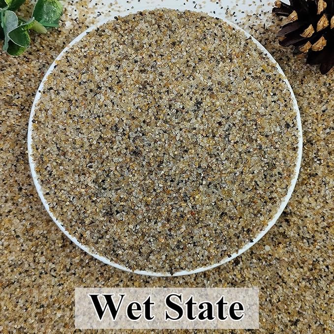 5lbs Aquarium Gravel, 1/16"(0.6-1.2mm) Natural River Rocks Succulent Cactus Pea Gravel for Plants, Fish Tank, Decorative Pebbles for Gardening, Flower Pots, Vase Fillers, Landscaping-PawvioPets