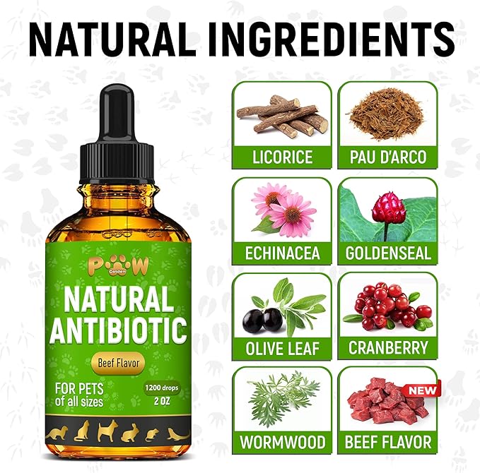 Antibiotics for Dogs | Antibiotics for Cats | Herbal Supplement for Digestion, Breathing, Urination | for Infections, Cough, Allergies | Beef Flavor & Cranberry | for All Pet Breeds | 2 Oz-PawvioPets