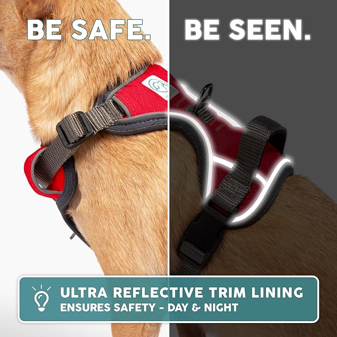 Embark Adventure Dog Harness, Reflective Trim No Pull Dog Harnesses for Small Sized Dogs - Military Grade Nylon, Front Clip with Gel Lined Handle.-PawvioPets