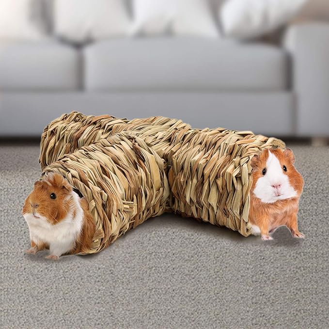 BWOGUE Hamster Grass Tunnel Toy Nature's Hideaway Guinea Pig Tunnels and Tubes Toys for Rats,Syrian Hamster,Ferrets,Guinea Pig,Chinchilla Hedgehog and Bunny-PawvioPets