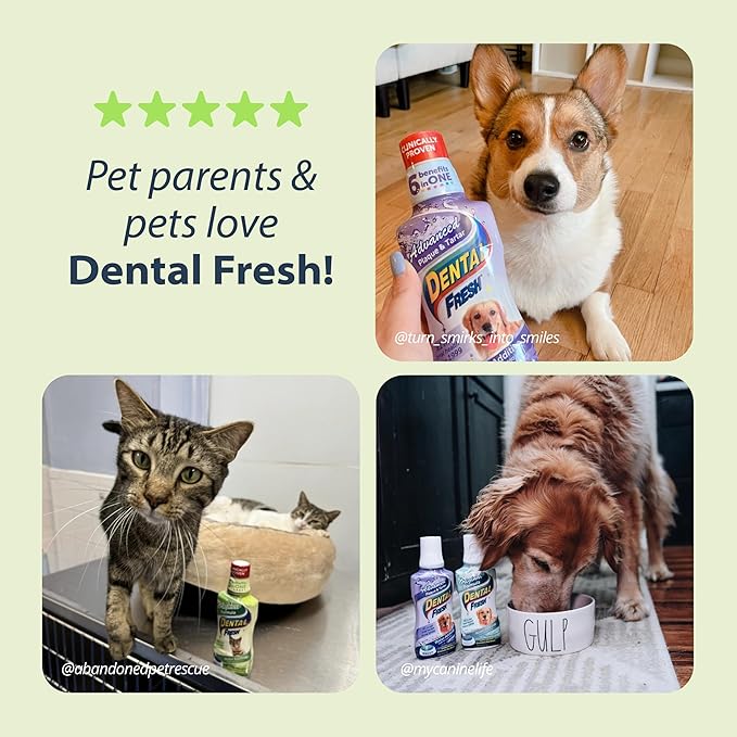 Dental Fresh Water Additive for Cats, Original Formula, 8 oz – Cat Breath Freshener – Products for Cats to Help Overall Cat Dental Health-PawvioPets