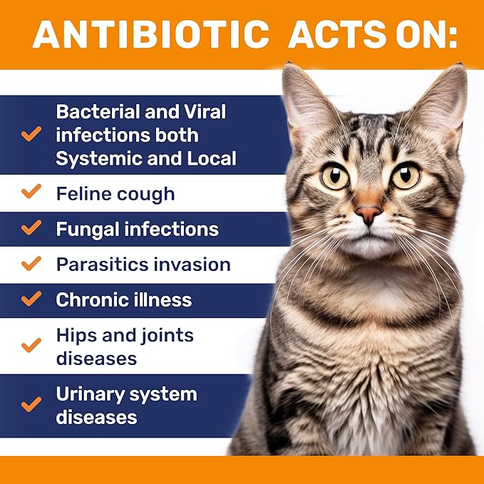 Cat Antibiotic to Help with Cough & Allergies – Antibiotics for Cats to Aid with UTIs and Digestive Moments – HIPS & Joints Support – Attractive Chicken Taste – 1 Oz Bottle-PawvioPets