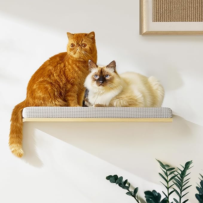 Extra Large 23.6”x12.6” CALLICO HAVEN- Stylish Cat Wall Shelves with Cushion, Modern Wall-Mounted Cat Tree Furniture, Window Cat Shelf & Perch, Sturdy/Hidden Mounts, Washable Cover - Flat Shape-PawvioPets