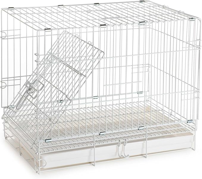 Durable Easy Portable Collapsible Metal Travel or Veterinary Collapsable Parrot Bird Carrier Beaks-Proof Easy Clean Carrier Cage with Stainless Steel Feeder Bowls Natural Wooden Perch-PawvioPets