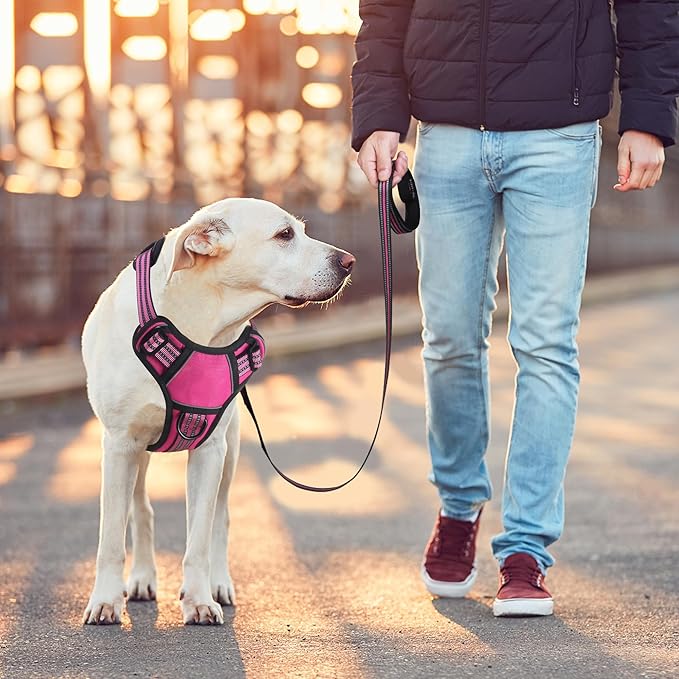 BUMBIN Dog Harness for Large Dogs, No Pull Adjustable No Choke Pet Vest with Dog Leash Fit Smart Reflective Pet Walking Harness for Training Easy Control Soft Handle Rose Red M-PawvioPets