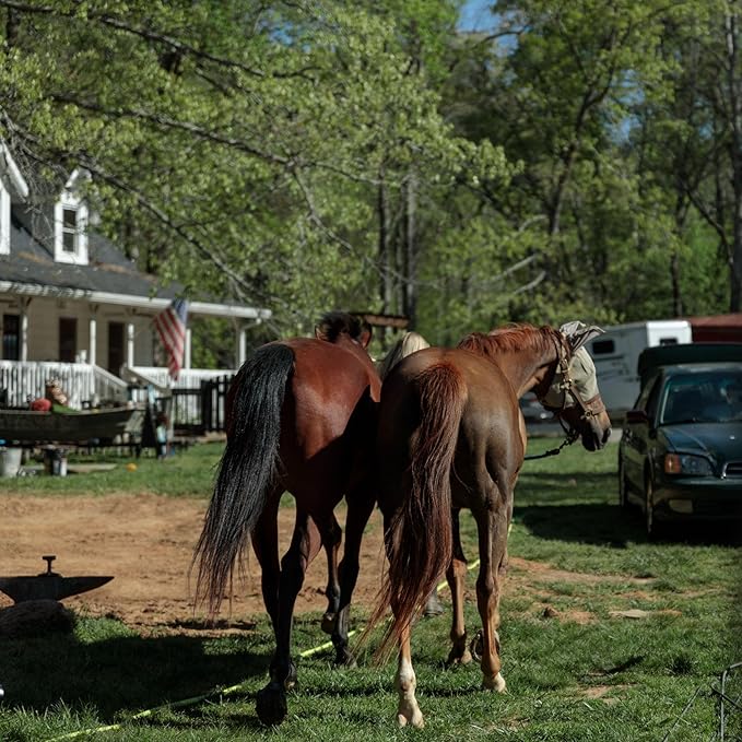 County Vet FarmGard Farm and Dairy Fly Spray -16 oz - (Case of 6) - 349316CVB - Provides Rapid Control of Barn Pests-PawvioPets