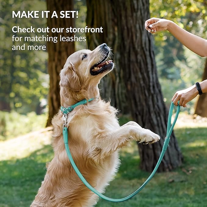 CollarDirect Rolled Leather Dog Collar, Soft Padded Round Puppy Collar, Handmade Genuine Leather Collar Dog Small Large Cat Collars 13 Colors (6-7 Inch, Mint Green Smooth)-PawvioPets