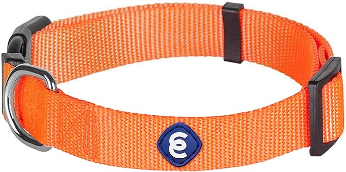 Blueberry Pet Essentials Florence Orange Adjustable Nylon Dog Collar for Large Dogs, Classic Solid Color Pet Safety & Style for Small Dogs-PawvioPets