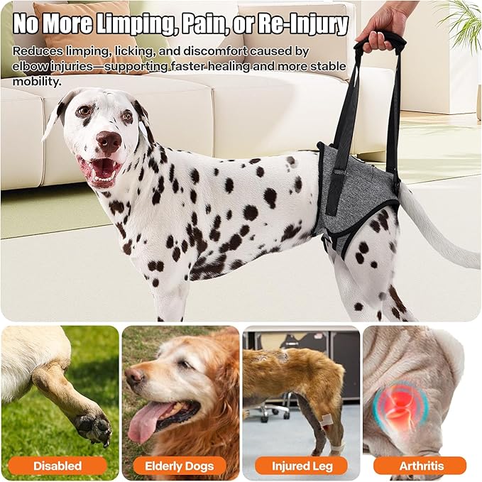 Dog Sling for Medium Large Dog Rear Leg, Lift Harness Provide Support with Muscle Atrophy and Joint Problems for Elderly Injured Arthritic Pet, Dog Weak Rear Legs Provides Rehabilitation Aid-PawvioPets