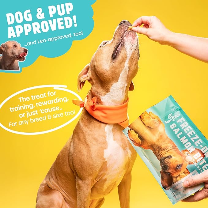 Freeze Dried Dog Treats - Wild Caught Salmon - Dog Food Dry Snacks - with Protein & Omega 3s - for All Breeds & Sizes - No Artificial Flavors & Dyes, No Preservatives - 1 Pouch, 4 oz-PawvioPets