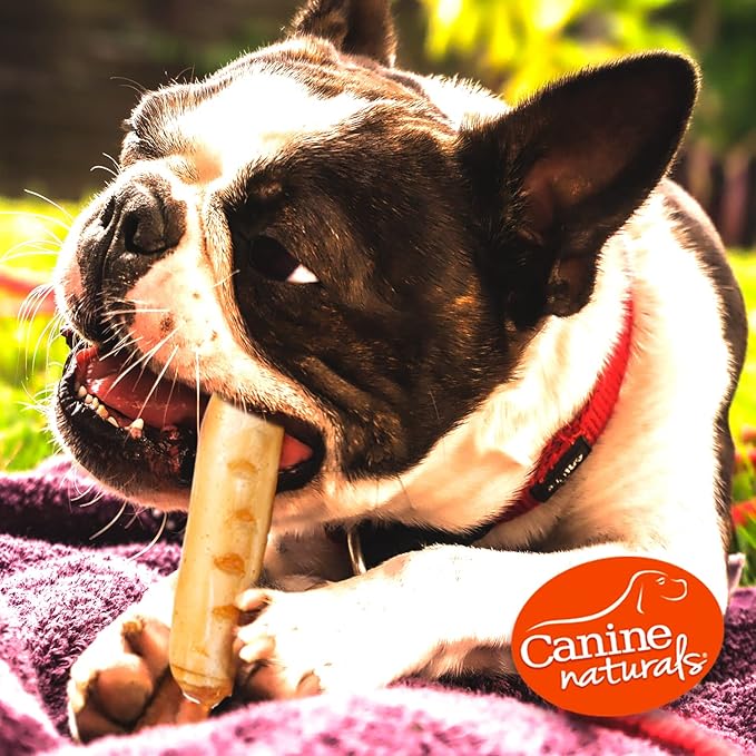 Canine Naturals Beef Chew - Rawhide Free Dog Treats - Made with Real Beef - Poultry Free Recipe - All-Natural and Easily Digestible - 5 Pack of 7 Inch Large Rolls for Dogs 50-75lb-PawvioPets