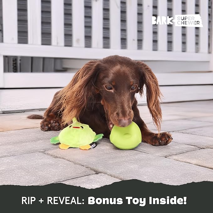 Barkbox Piper Parrot Dog Toy for Small Dogs, Perfect for Flipping Fun and Tearable Outer Layer with Bonus Toy Inside for Extra Playtime Excitement-PawvioPets