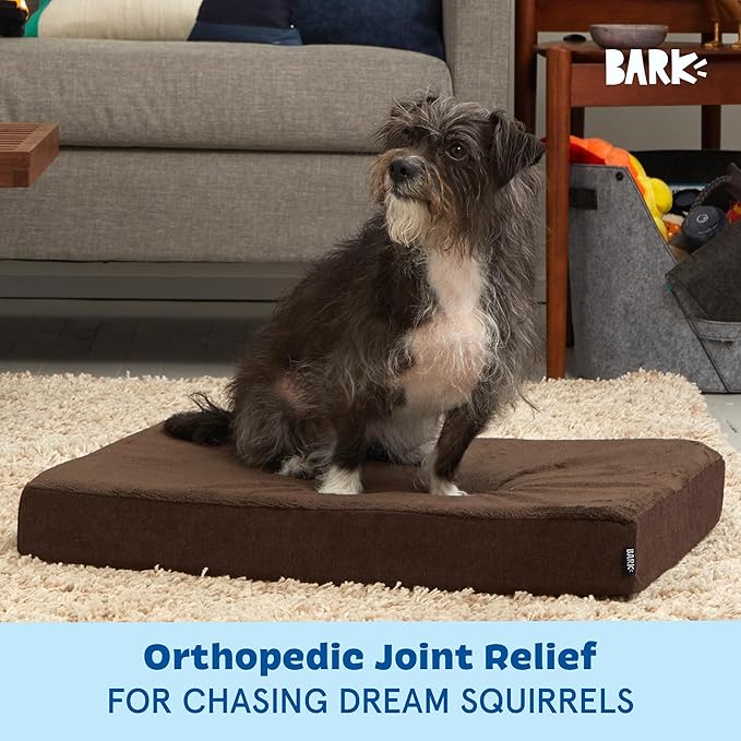 Barkbox Orthopedic Dog Bed with Memory Foam, Premium Comfort for Dogs and Puppies, Dog Bed for Joint Relief and Restful Sleep, Durable and Easy to Clean - Espresso, Medium-PawvioPets