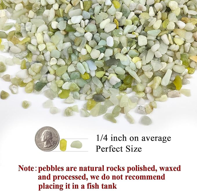 5 lbs Jade Pebbles for Indoor Plants,1/4 inch Polished Gravel Rocks for Plants, Succulents, Cactus, Vases, Terrarium and Outdoor Gardening-PawvioPets