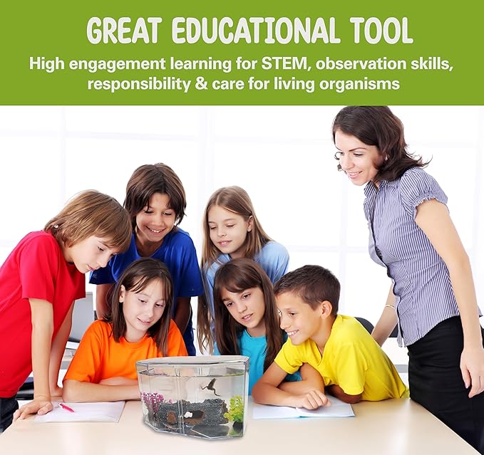 African Dwarf Frog Starter Kit- Includes Certificate for 2 Live Frogs- All-in-One Bundle with Book, Small Aquarium, Food, Instructions Now-PawvioPets