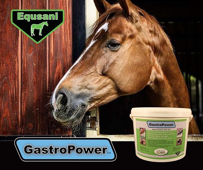GastroPower Digestible Free Fatty Acid Feed Concentrate for Horses-PawvioPets
