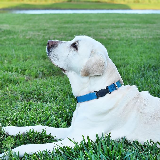 Dogline Biothane Waterproof Dog Collar with Herm Sprenger Stainless Steel Quick Release Buckle – Heavy Duty Tactical Durable Collar for Dogs – Comfortable and Safe Pet Collar, W 3/4" L 12-19", Blue-PawvioPets