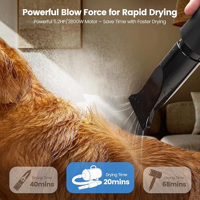 Dog Dryer, 5.2HP/3800W High Velocity Dog Hair Dryer with 4 Nozzles, Stepless Adjustable Speed & Temperature Control, Low Noise Professional Dog Grooming Dryer (Blue)-PawvioPets