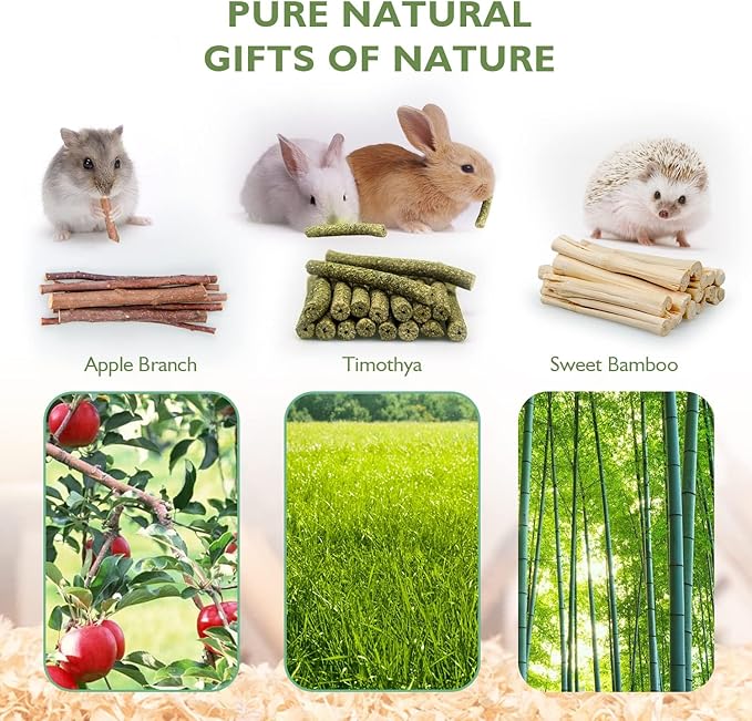 300g Guinea Pig & Rabbit Chew Toys with Apple & Timothy Sticks - Prevent Overgrown Teeth with Sweet Bamboo Treats - Ideal Rabbit Treats Included!-PawvioPets