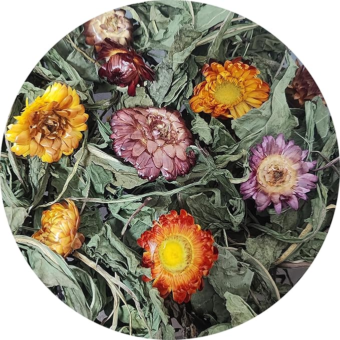 Dandelion Treat - High Fiber Food for Chinchillas, Guinea Pigs & Squirrels - 5 Herbal Blends, 6oz - Rabbit, Hamster & Small Pet Snack-PawvioPets