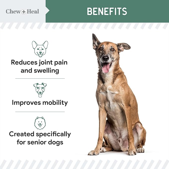 Glucosamine for Dogs Hip and Joint Supplement - 120 Senior Dogs Mobility Soft Chews - Made with Glucosamine, MSM, Chondroitin, Green Lipped Mussels and More - Made in The USA-PawvioPets