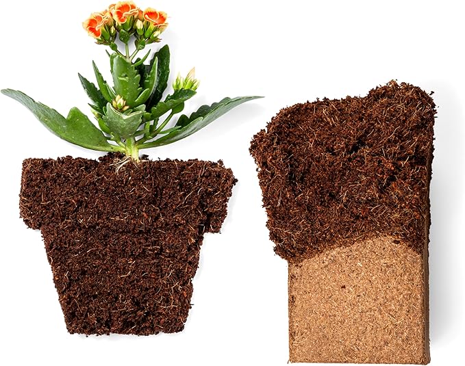 Coco Coir 650gm Bricks (30-Pack) - Organic Coco Coir for Plants & Gardening - OMRI-Listed Cocopeat for Garden Soil, Seed Starter Soil, & Mulch - Coconut Coir Bricks - Coconut Fiber Potting Mix-PawvioPets