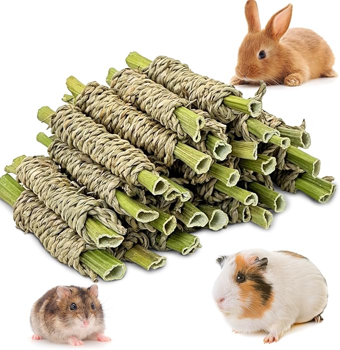 Fhiny 24 PCS Rabbit Chew Sticks, Natural Papaya Wood Seagrass Guinea Pig Chew Toys for Teeth Small Animal Molar Sticks Snacks for Bunny Guinea Pig Chinchilla Ferret Hamster Gerbil Dental Care-PawvioPets