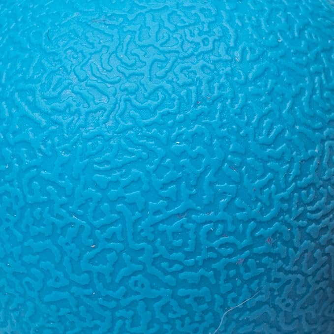 Amazon Basics Dog Toys, Interactive Fetch Rubber Balls, (Pack of 3), 2.5 inch, Blue, Orange-PawvioPets