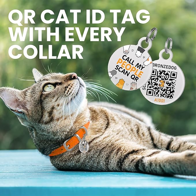 BRONZEDOG Leather Cat Collar with Removable Bells Non Breakaway Kitten QR Tag for Girl Boy (7" - 9" for Cats, Orange & Silver)-PawvioPets