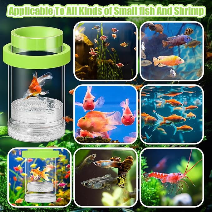 2 Pcs Breeder Box for Fish Tank Aquarium Breeder Separation Net Breeding Box with Suction Cup for Small Fish Shrimp Clownfish Guppy(Green,M)-PawvioPets