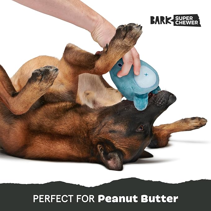 Barkbox Grey Bear Hugger Super Chewer 2-in-1 Plush Exterior Hard Core Plush Toy, Large Breeds-PawvioPets