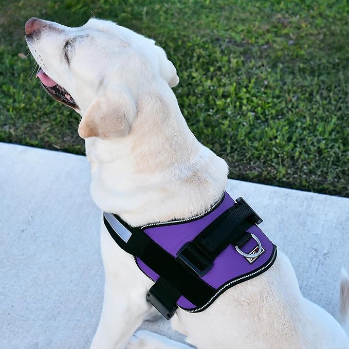 Dogline Dog Harness, Reflective No-Pull Adjustable Vest with Handle for Walking, Training, Breathable, No - Choke Harness for Small, Medium or Large Dogs Room for Patches Girth 27 to 34 in Purple-PawvioPets