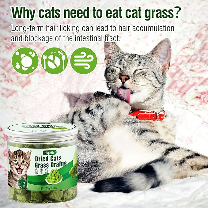 50g Cat Grass Teething Treat, Delicious Cat Grass Teething Snack Edible Cats Chew Toy for Teeth Cleaning and Hairball Removal-PawvioPets