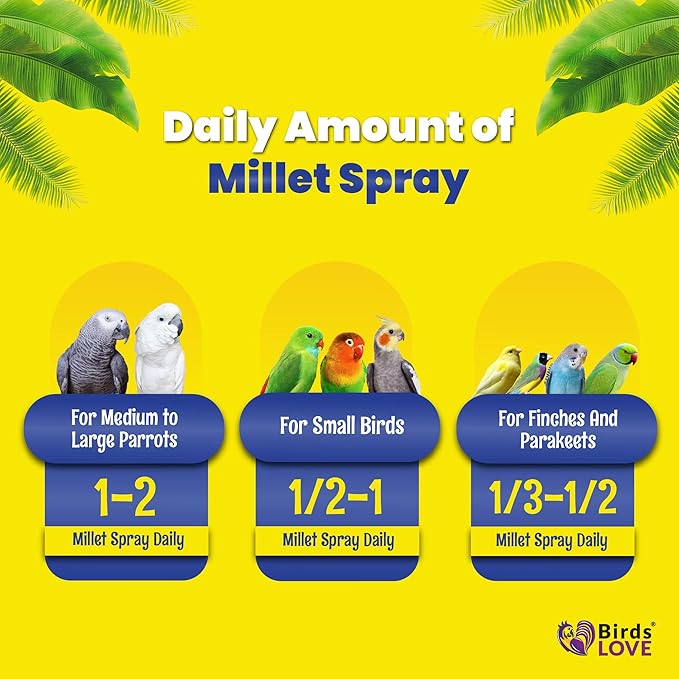 Birds LOVE Economy & Thin Special Spray Millet GMO-Free (No Stems Only Edible Tops) for Birds Cockatiel Lovebird Parakeet Finch Canary All Parrots Healthy Treat - 2lbs-PawvioPets