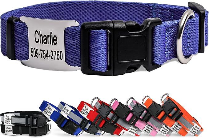 GoTags Personalized Dog Collar with Nameplate, Adjustable Dog Collar with Custom Engraved Slide On Pet ID Tag in Stainless Steel, Silent, No Noise Dog Tag (Lavender, Small)-PawvioPets