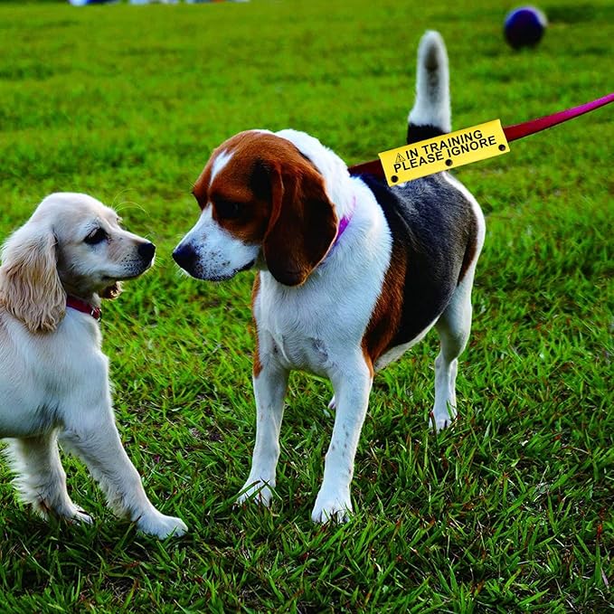 Funny Dog Leash Sleeve in Training Please Ignore Dog Leash Wrap Sleeve Alert Tag Pet Birthday Gift (Training Please Ignore-YE Sleeve)-PawvioPets