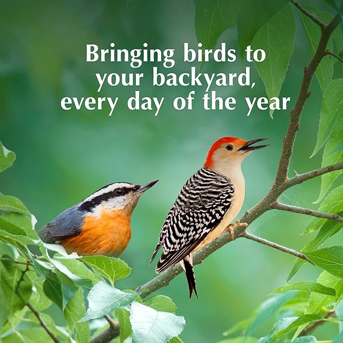 C&S Sunflower Suet Nuggets, Suet Nuggets for Wild Birds, 27 Ounces-PawvioPets