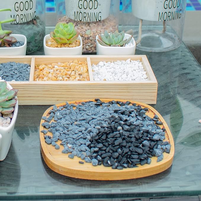 3lb Black Cactus Pea Gravel Rocks,1/4 Inch Pebbles for Indoor Plants, Natural Succulent Rock and River Rocks Decorative for Aquariums, Vases, Outdoor Gardening, Top Dressing for Potted Plants-PawvioPets