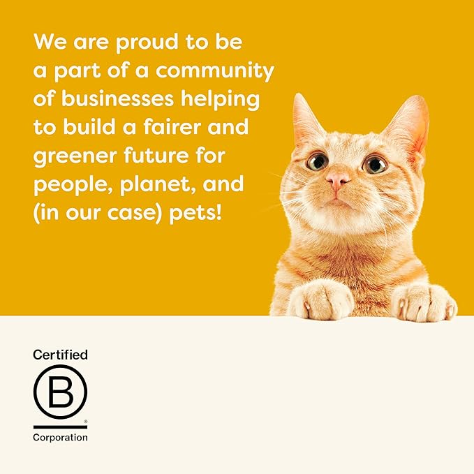 Applaws Natural Wet Cat Food in Broth, Limited Ingredient Canned Wet Cat Food, No Additives, Made with Natural Ingredients, Chicken Breast & Liver in Broth (24 x 2.47oz Cans)-PawvioPets