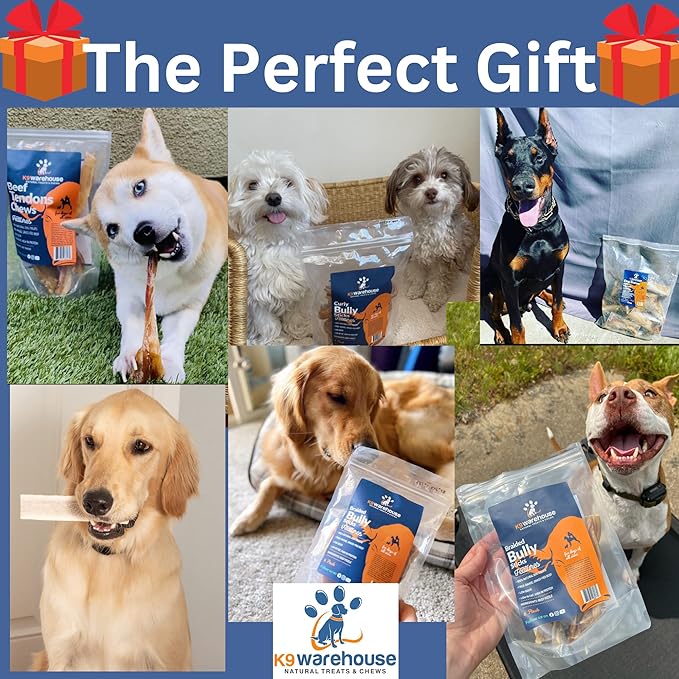 Beef Bone Marrow Dog Treats - Long Lasting Dog Bones for Aggressive Chewers - All-Natural Marrows Treats for Dogs - High-Protein Marrow Bones for Dogs Small, Medium, Large & Extra Large-PawvioPets